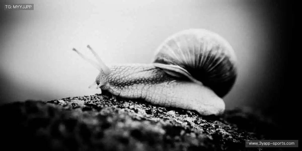 ⚽️赛事预告，提前锁定！📅